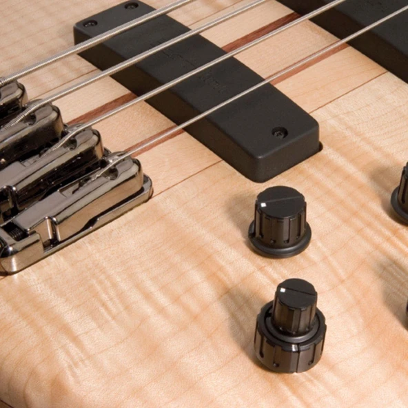 IBANEZ SR1005EFMNTF BASS GİTAR, ÇANTALI, 5 TELLİ - Resim 3