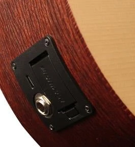 CORT EARTHMINIF-ADIRONDACK OP ELEKTRO AKUSTİK GİTAR, ÇANTALI, OPEN PORE - 2