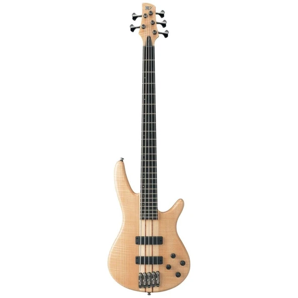 IBANEZ SR1005EFMNTF BASS GİTAR, ÇANTALI, 5 TELLİ - Resim 2