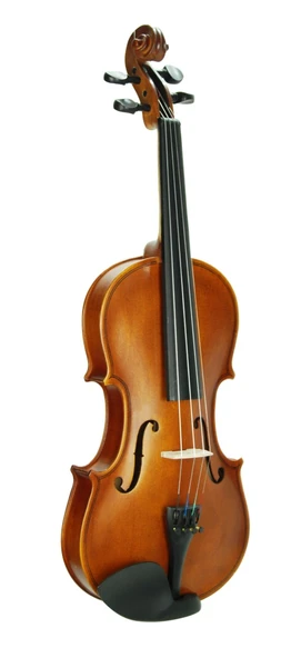 Keman Stanislava Mat 4/4 STVM44 - Resim 2