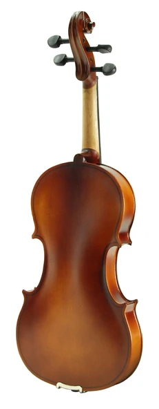 Keman Stanislava Öğrenci STV34BR - Resim 2