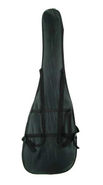 Elektro Gitar Kılıfı GAKE - 3