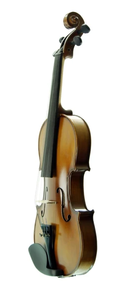 Keman Stanislava Mat 1/2 STVM12 ürün görseli