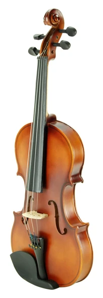 Keman Stanislava Öğrenci STV12BR ürün görseli