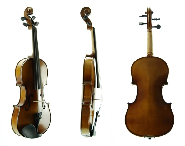 Keman Stanislava Mat 3/4 STVM34 - Resim 2