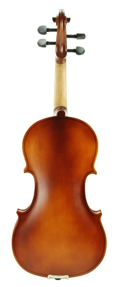 Keman Stanislava Öğrenci STV14BR - Resim 4