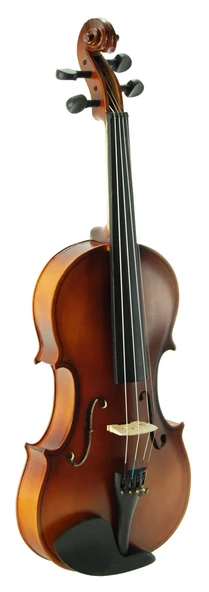 Keman Stanislava Öğrenci STV34BR - Resim 3