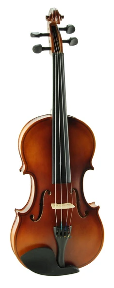 Keman Stanislava Öğrenci STV12BR - Resim 3