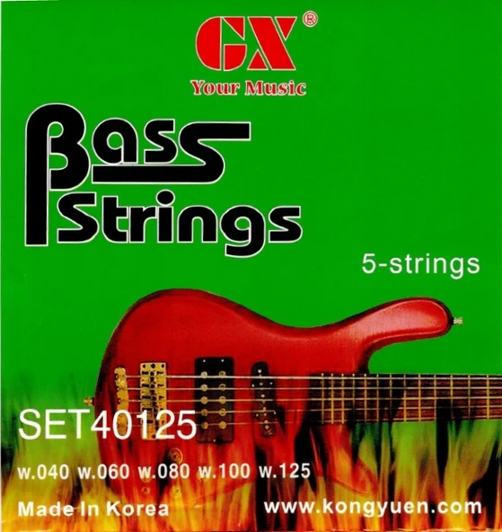 Beş Telli Bas Gitar Teli GAB305