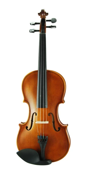 Keman Stanislava Mat 4/4 STVM44 - Resim 5