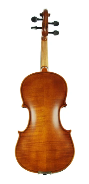 Keman Stanislava Mat 4/4 STVM44 - Resim 4