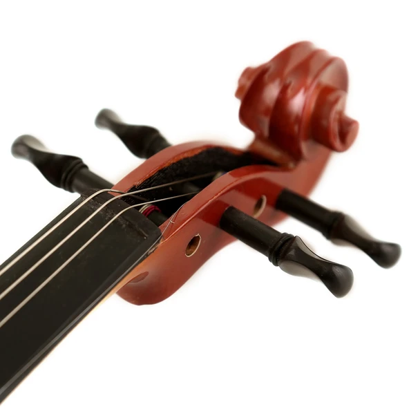 Keman Stanislava Abanoz Klavyeli 3/4 STVA34 - Resim 4