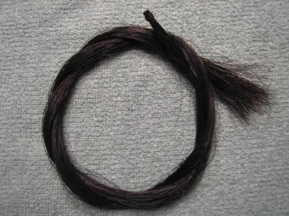 AT KILI SİYAH (KEMAN İÇİN, SCALA 4/4) ürün görseli