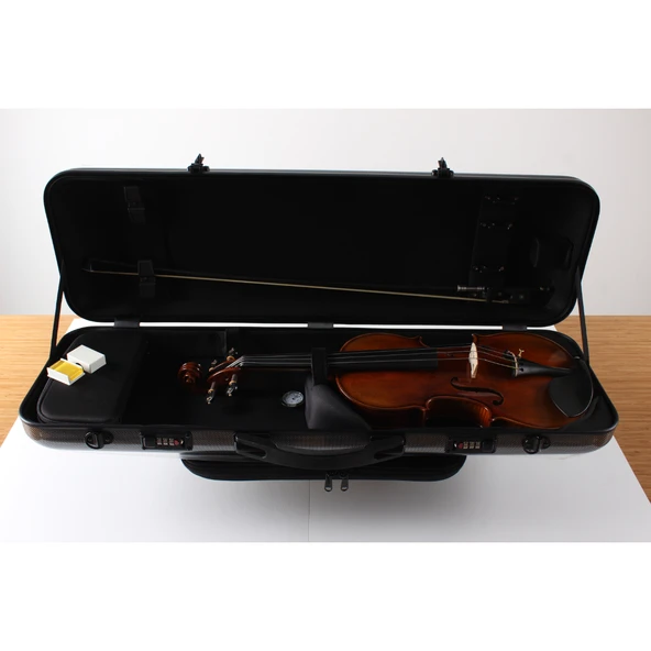 Carlovy VLA1 - 4/4 Keman - Resim 7