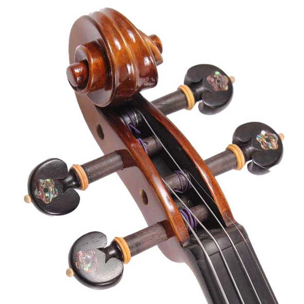 Carlovy VLA1 - 4/4 Keman - Resim 12