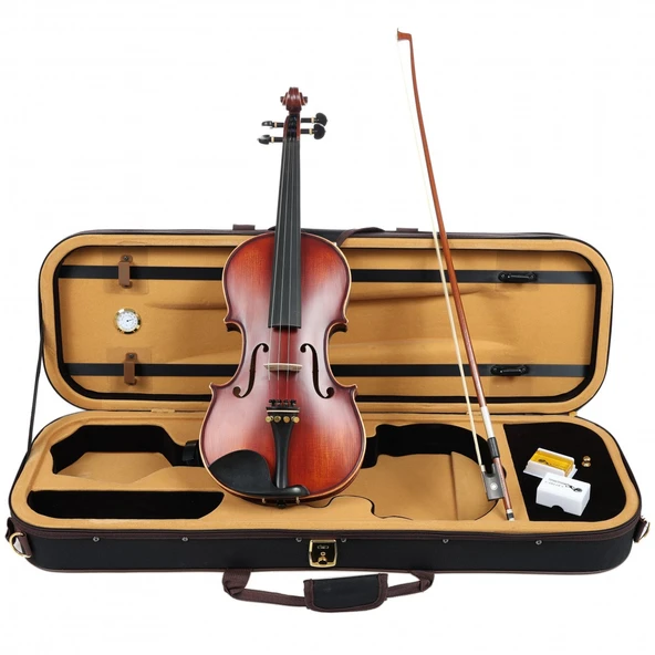 Carlovy VLA8 - 4/4 Keman - Resim 6