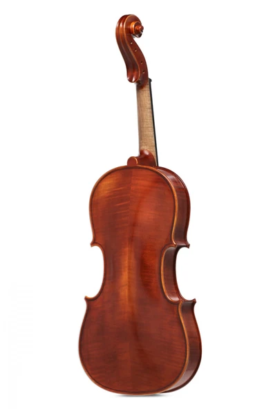 Gewa Maestro El Yapımı 4/4 Keman - Resim 4