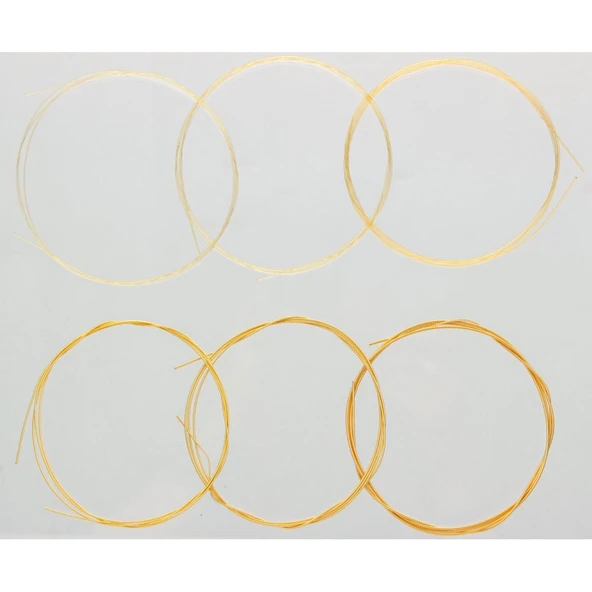 Hannabach Goldin 725 MHT Klasik Gitar Teli - Resim 4