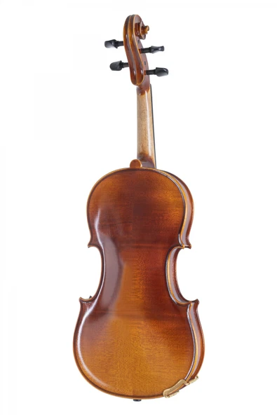 Gewa Allegro VL1 4/4 Keman - Resim 2