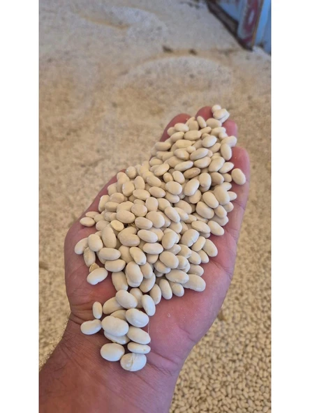 Alberta Kanada Asarcık Organik Kabuk Atmayan Fasülye 1 kg ürün görseli 1