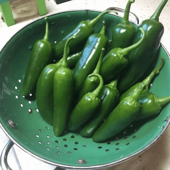 Meksika Extreme Acı Jalapone Biber Fidesi (5 Adet)