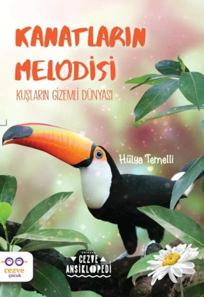 Kanatların Melodisi - Kuşların Gizemli Dünyası - 1