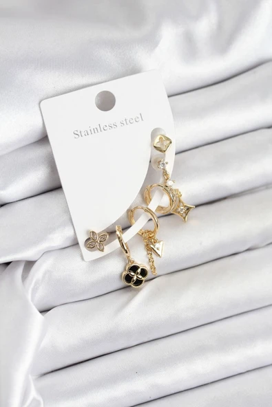 Pirinç Gold Renk Kadın Set Küpe - EBJ250920W37797 ürün görseli