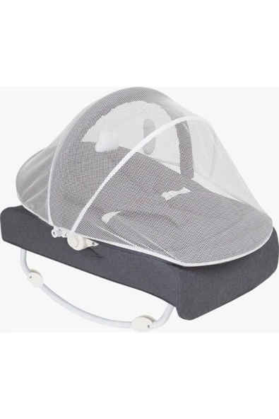 Puanti Gri Loka Anadizi