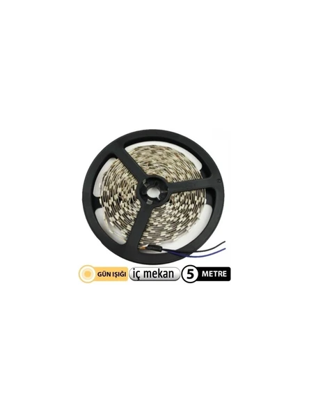 Cata Günışığı Iç Mekan Şerit LED 5 Metre Fiyatıdır 12 Volt CT-4481