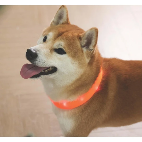 M-Pets Flash Led Boyun Tasma Turuncu (L) - 4