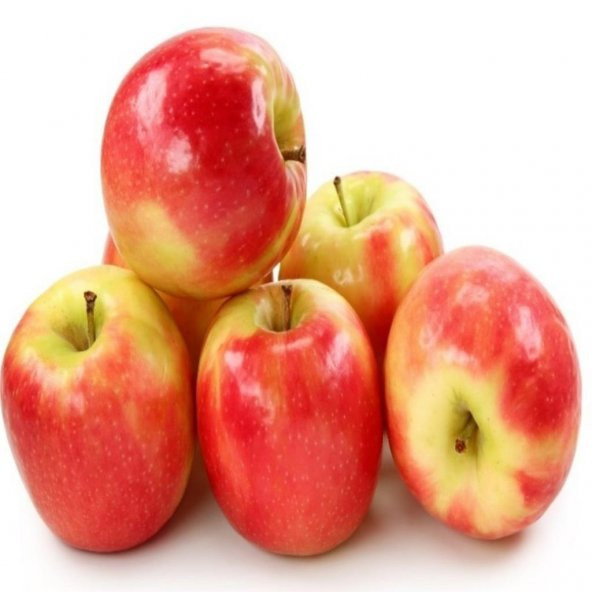 Tüplü Aşılı Yarıbodur Verimli Aromatik Pink Lady Elma Fidanı - Resim 2