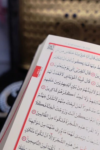 Hediyelik Kuranı Kerim | İslami Hediye | Lüks Ahşap Kutu, Kadife Kuran, Şal ve İnci Tesbih Seti - Resim 4