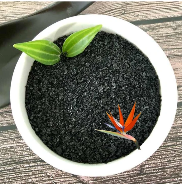 Bitki Çiçek Besini Özel Toz Organik Gübre Deniz Yosunu 500 Gr - Resim 3