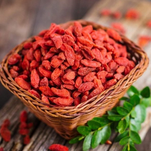 Tüplü Kırmızı Goji Berry Kurt Üzümü Tibet Üzümü Fidanı - Resim 6