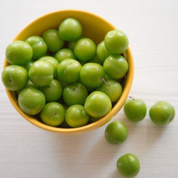 Tüplü Aşılı Erkenci Bol Verimli Yeşil Cin Erik Fidanı - Resim 4