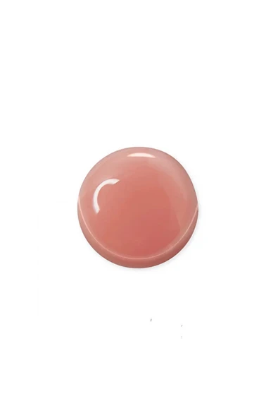 Fontenay Uno PolyJel Nude 30G+ProtezTırnak Tips ÜstForm JelTips+BaseCoatTopCoatPrimerDehydrator - 3
