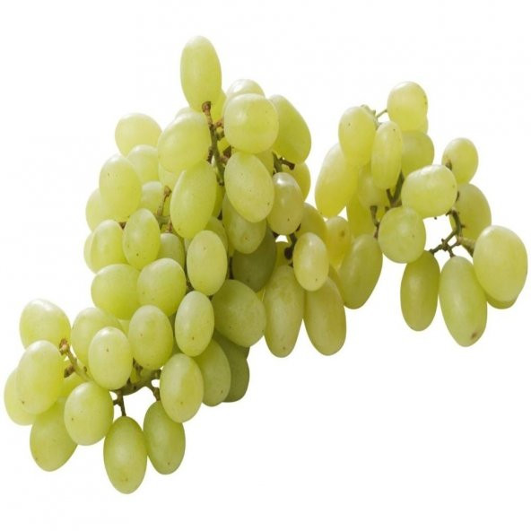 Tüplü Geç Çiçeklenen Victoria Üzüm Fidanı - Resim 4