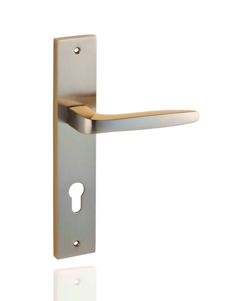 Berlin Aynalı & Rozetli Kapı Kolu