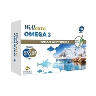 Wellcare Omega 3 Balık Yağı 1200 mg 30 Kapsül ürün görseli