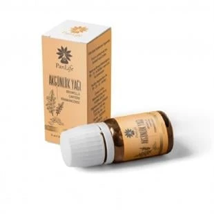 Panlife Akgünlük (Frankincense) Yağı 10 ml ürün görseli