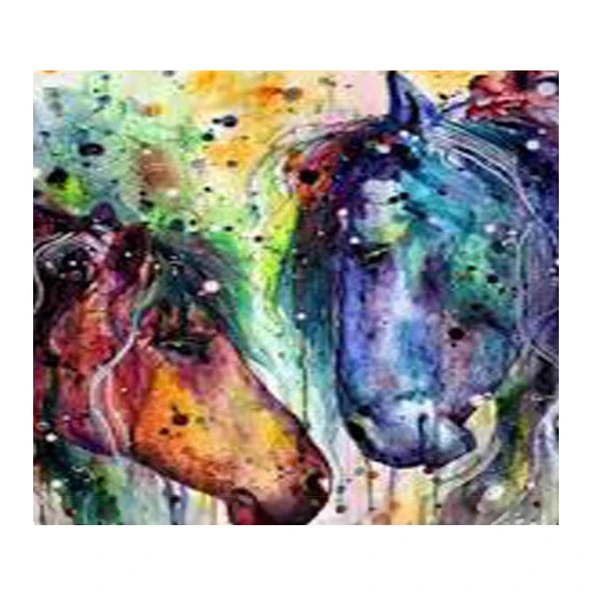 Çerçeveli Renkli Atlar  Kanvas Sayılarla Boyama Seti Kasnaklı  40cm x 50 cm ürün görseli 1