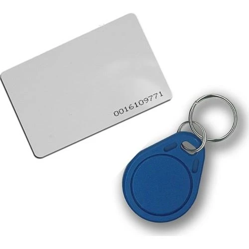 Marelli 125 khz EM RFID geçiş kontrol ünitesi çip / anahtarlık çipi, anahtarlığı, boncuğu ürün görseli 1