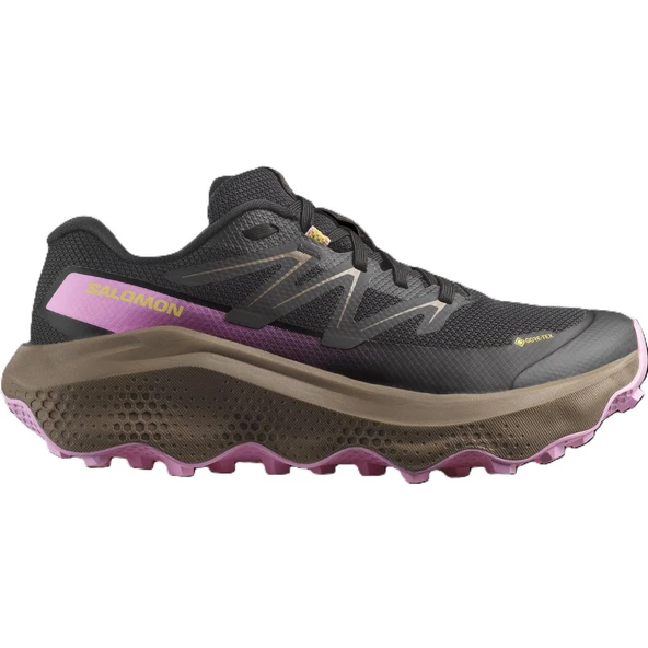 Salomon ULTRA FLOW 2 GTX Kadın Ayakkabısı L47884400