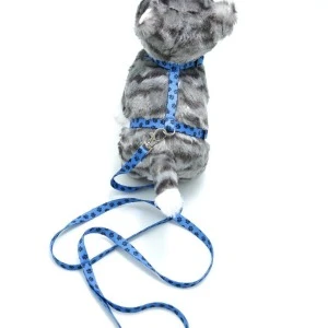 Kedi Patili Göğüs Tasması Ve Gezdirme Seti Ps9646 ürün görseli