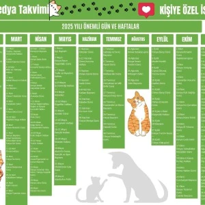 2025 Kişiye Özel Sosyal Medya Takvimi - Özel Günlerle Dolu Eğlenceli Duvar Afişi Kedi ürün görseli 1