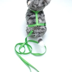 Kedi Düz Göğüs Tasması Ve Gezdirme Seti Ps9643 ürün görseli