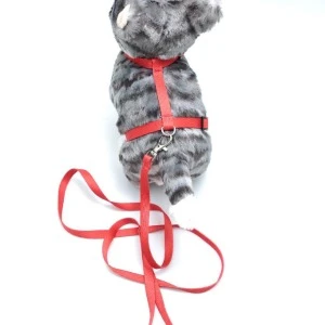 Kedi Düz Göğüs Tasması Ve Gezdirme Seti Ps9641 ürün görseli