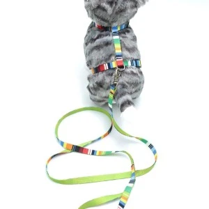 Kedi Renkli Göğüs Tasması Ve Gezdirme Seti Ps9637 ürün görseli