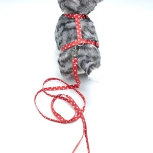 Kedi Yıldızlı Göğüs Tasması Ve Gezdirme Seti Ps9648 ürün görseli