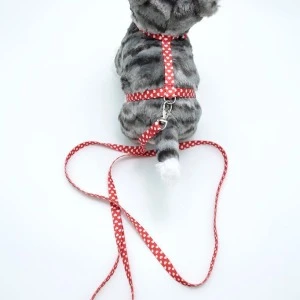 Kedi Kalpli Göğüs Tasması Ve Gezdirme Seti Ps9636 ürün görseli